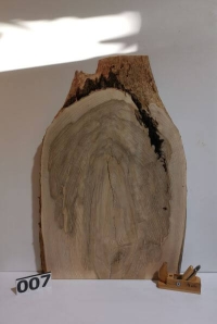 Tischplatte Esche-Anschnitt