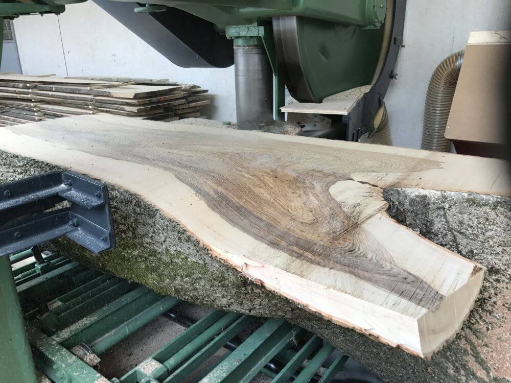 Sägewerk mit Blockbandsäge
